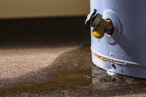Best 24-hour water damage restoration  in Lake Geneva, WI