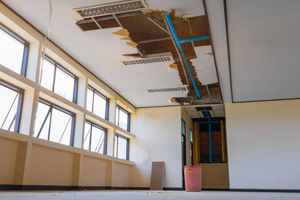 Best 24/7 water damage repair  in Lake Geneva, WI