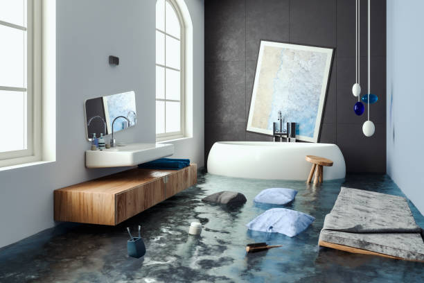 Best Professional water damage repair  in Lake Geneva, WI