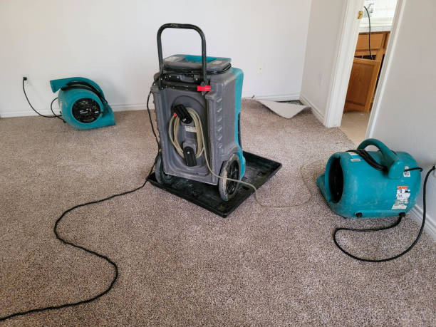Sewage cleanup and water damage restoration in Lake Geneva, WI