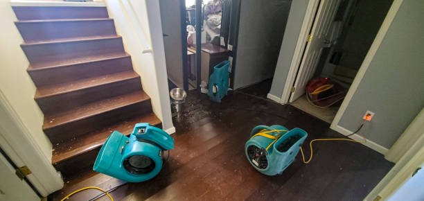 Best Water damage restoration near me  in Lake Geneva, WI