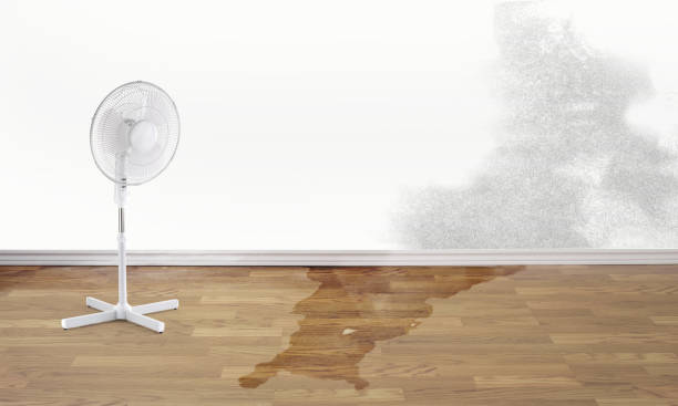 Water damage restoration mold remediation in Lake Geneva, WI