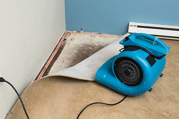 Best Sewage cleanup and water damage restoration  in Lake Geneva, WI